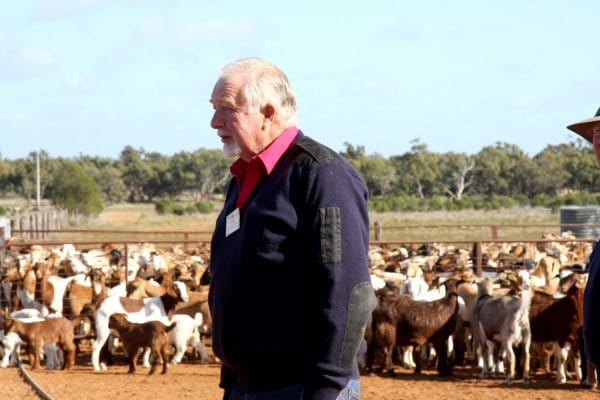 Poll success for pioneering breeder