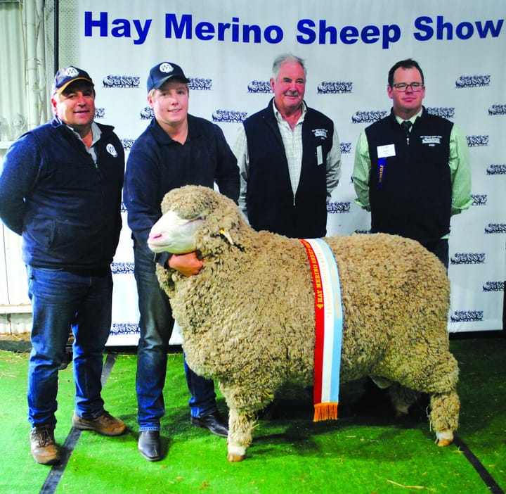 SA stud takes Supreme Champion trophy at 71st Hay Sheep Show
