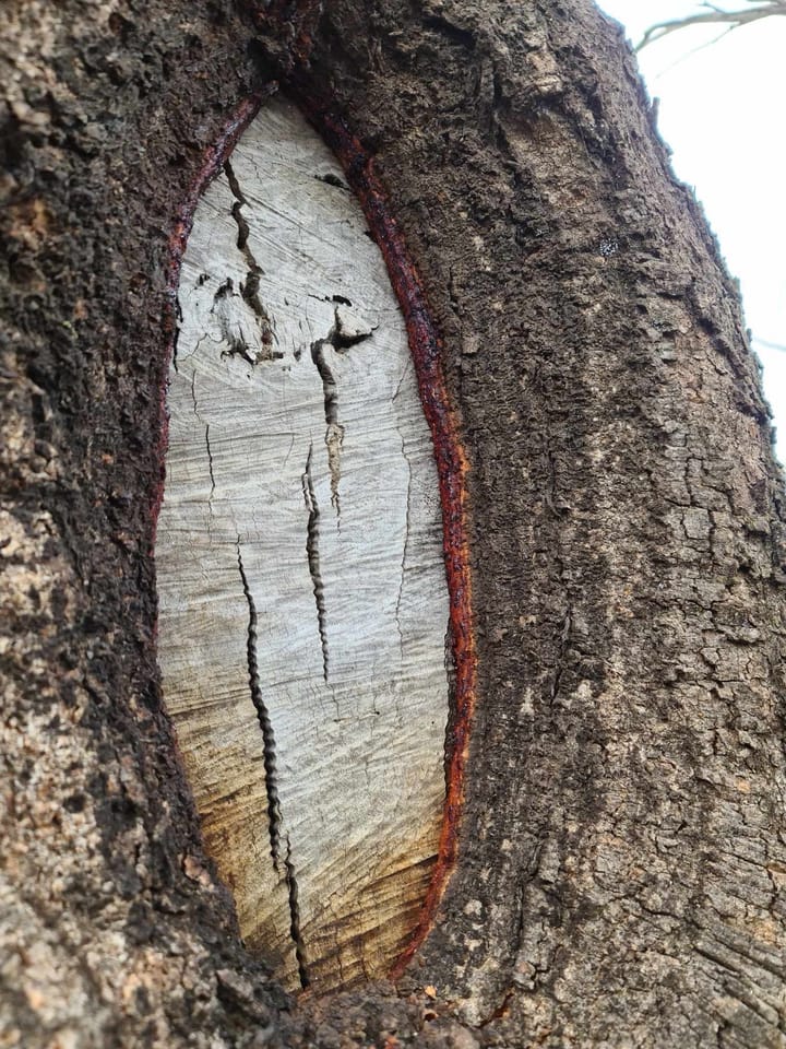 No action on allegations Aboriginal sites were destroyed