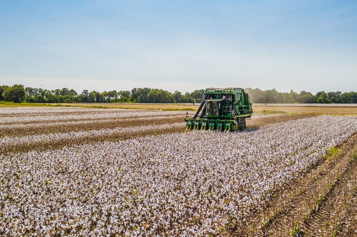 Australian cotton tipped for second best year on record