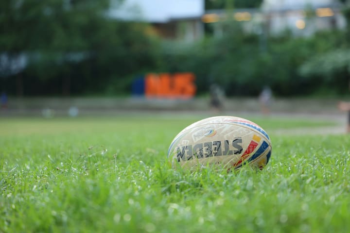 Ruby Football in the grass