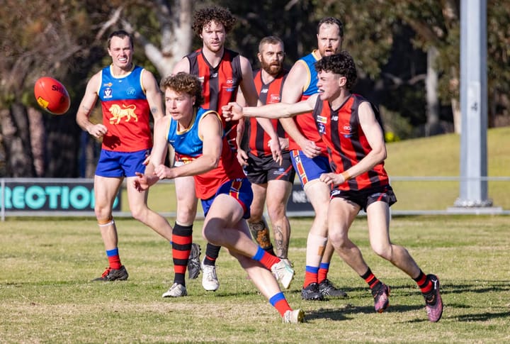 Hay Lions turn it on late to hold off the Bombers - Round 9 Golden Rivers AFL League