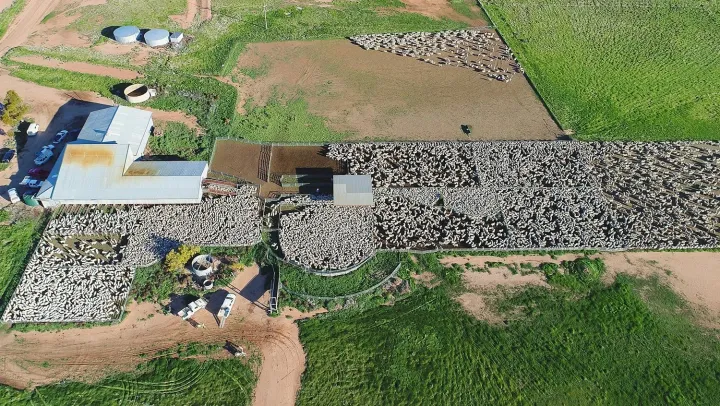 Rural giant offered for sale: Paraway Pastoral hits the market